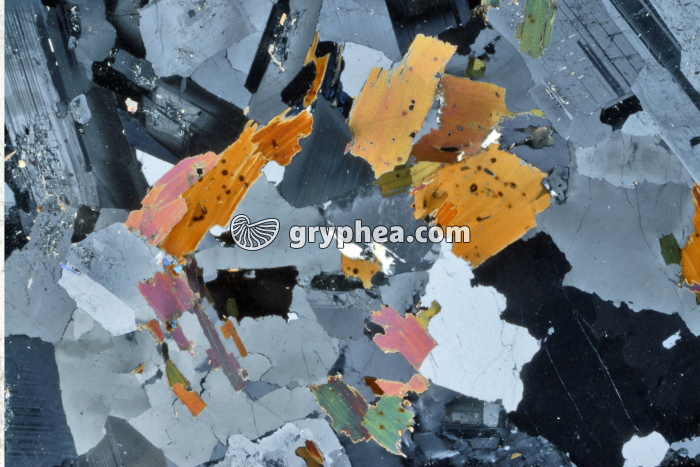 Granite non altéré (ou granite sain) LPA x3 - gryphea.org